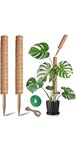 Amazon.com : Moss Pole, 2Pack 21 Inch Plant Support Stakes for